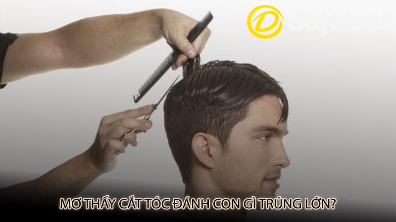 Mơ thấy cắt tóc đánh con gì trúng lớn?